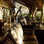 safari lodges greater kruger